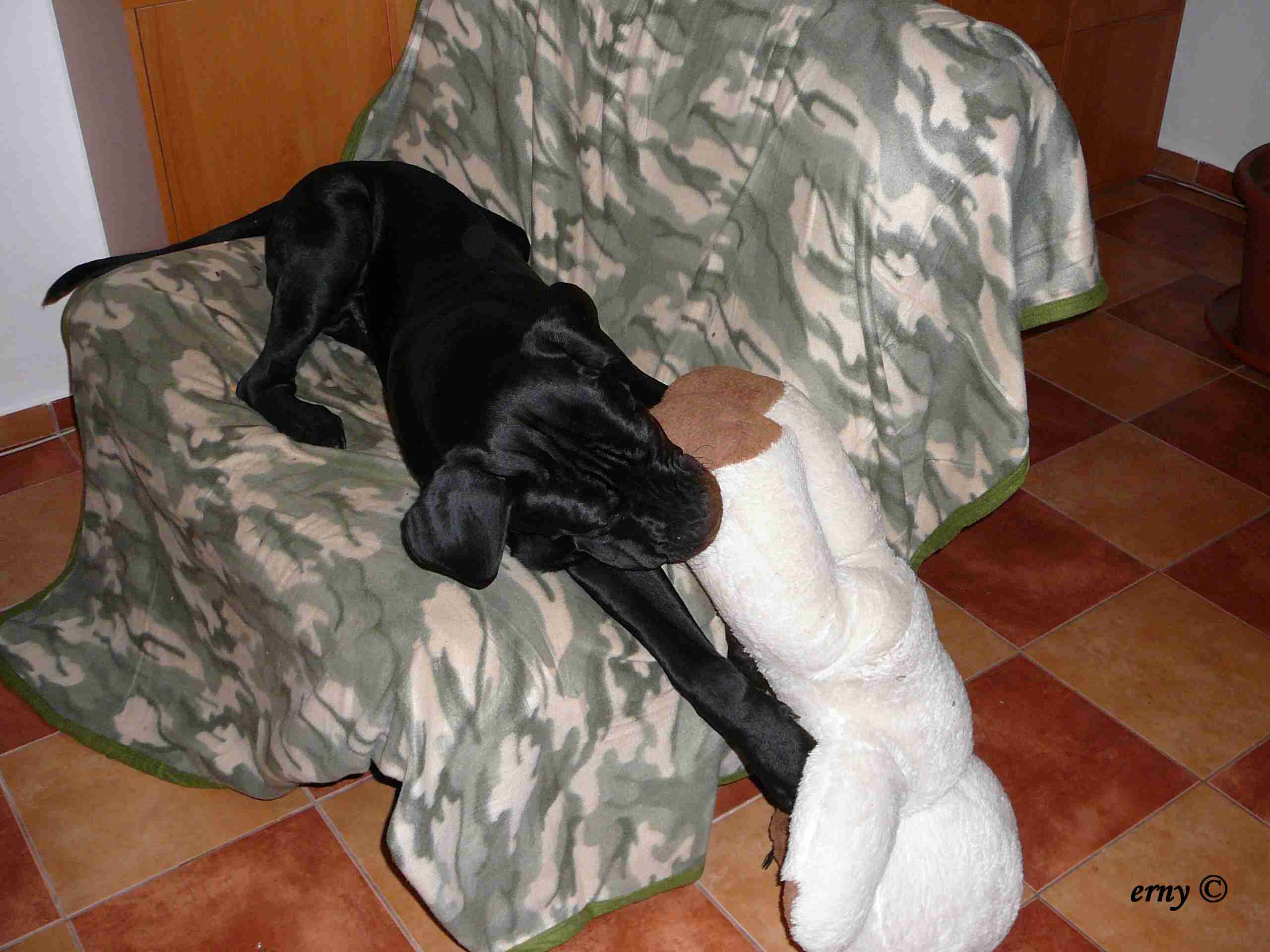 07.jpg